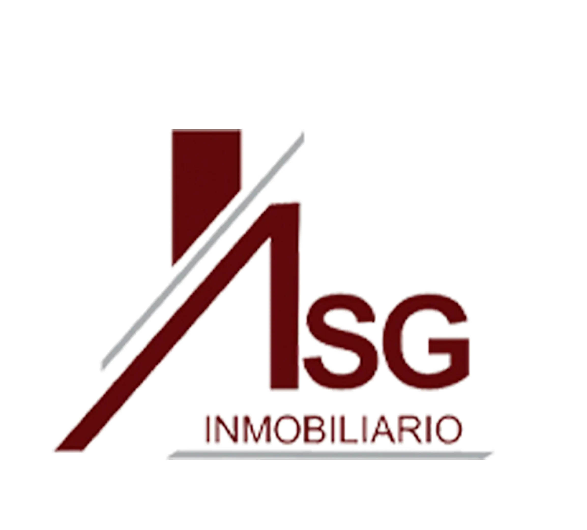 Logo NSG